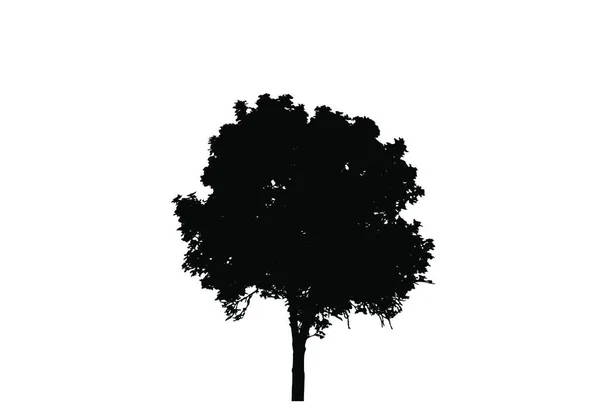 Silhueta Árvore Isolada White Backgorund Ilustração Vecrtor Eps10 — Vetor de Stock