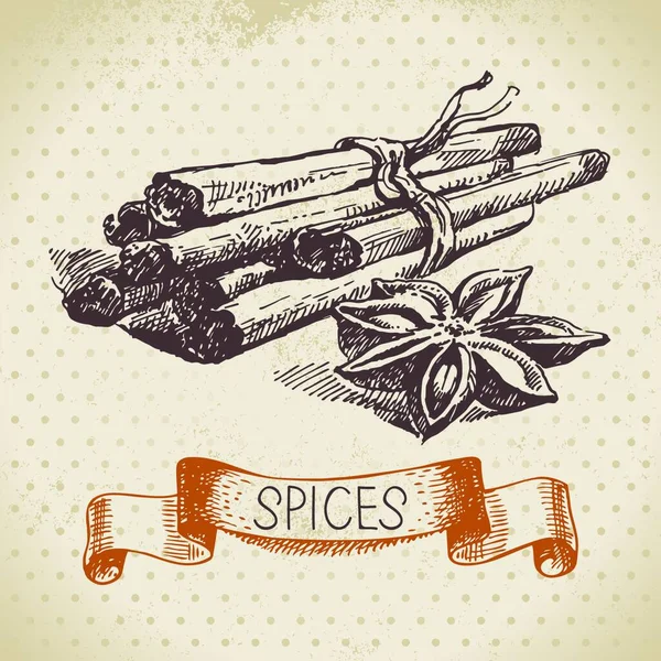 Herbes Épices Cuisine Fond Vintage Avec Dessin Main Cannelle — Image vectorielle