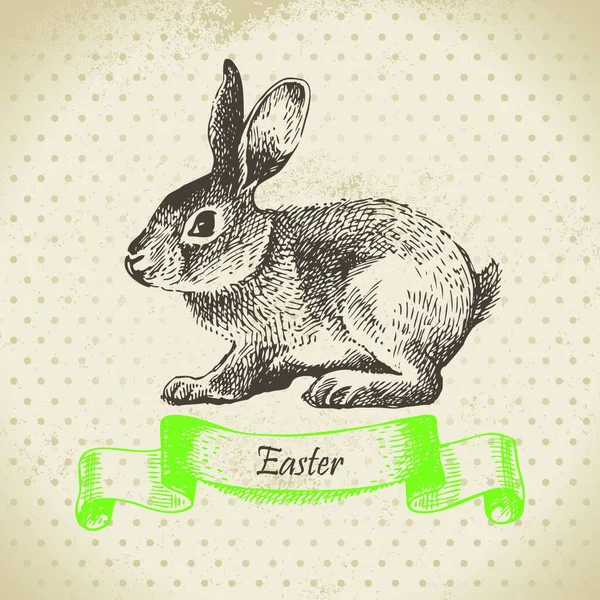 复活节兔子的复古背景 手工绘制的插图 — 图库矢量图片