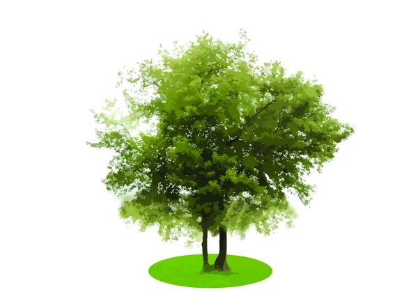 Цветное Силуэт Дерево Изолированное Белом Backgorund Вектор Развития S10 — стоковый вектор
