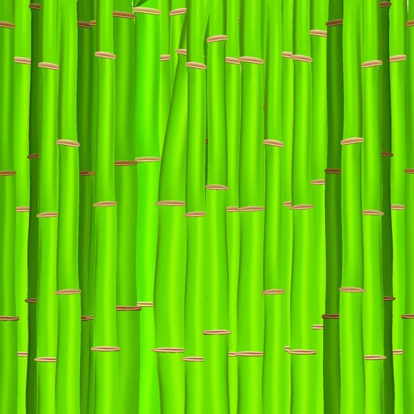 Красочные Стебли Бамбуковые Листья Фона Векторная Иллюстрация S10 — стоковый вектор