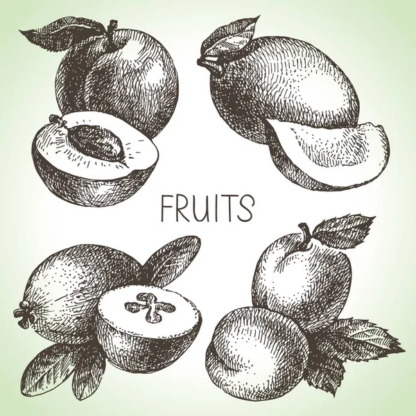 Met Hand Getekend Schets Fruit Set Eco Voedsel Vectorillustratie — Stockvector