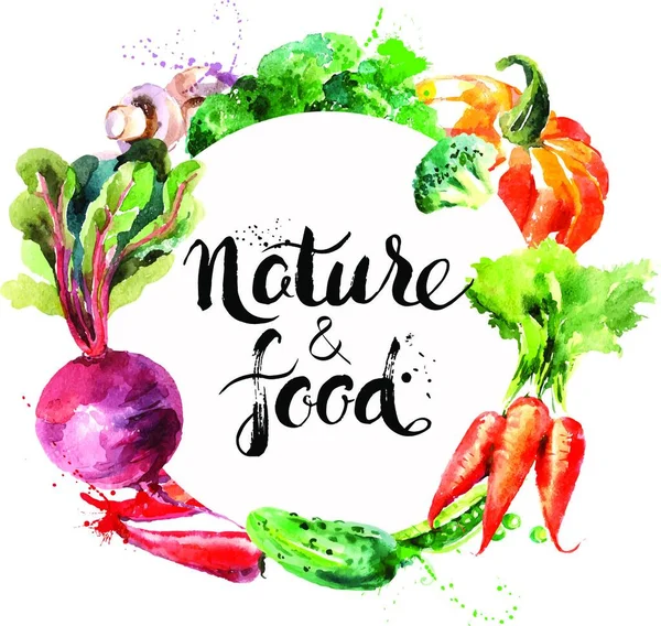 Eco Food Menu Background Watercolor Hand Drawn Vegetables Vector Illustration — Stock Vector