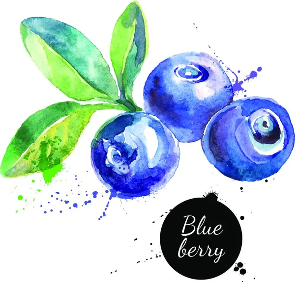 Hand Getekende Aquarel Blueberry Witte Achtergrond Vectorillustratie Van Bessen — Stockvector