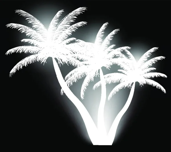 Silhouette Palmier Illustration Vectorielle Spe — Image vectorielle