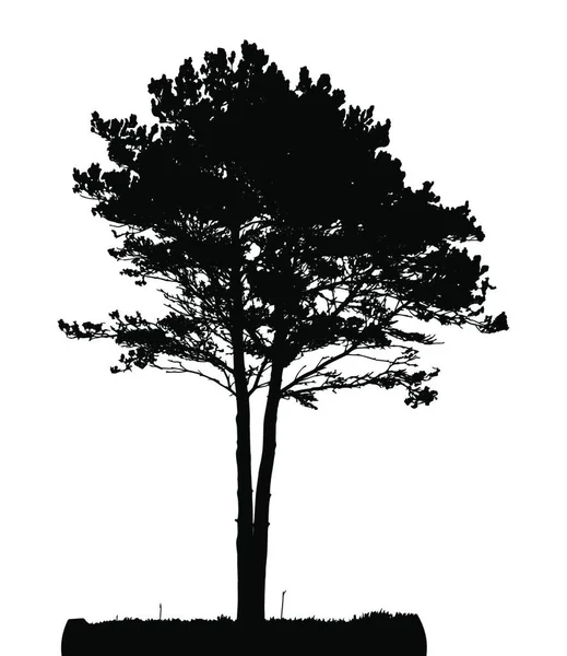 Силуэт Дерева Изолированный Белом Бакгоронде Вектор Развития S10 — стоковый вектор