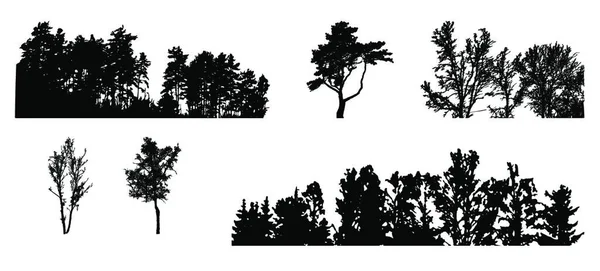 一组独立在白色后腿上的树的轮廓 Vecrtor说明 Eps10 — 图库矢量图片