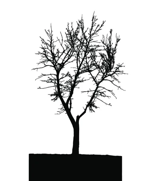 White Backgorund Ağaç Silueti Izole Edilmiş Vektör Llüstrasyonu Eps10 — Stok Vektör