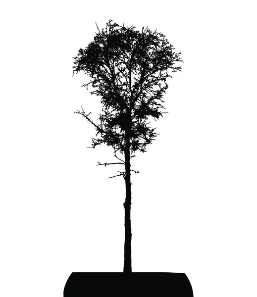 Silhouette Dell Albero Isolato White Backgorund Illustrazione Del Vettore Eps10 — Vettoriale Stock