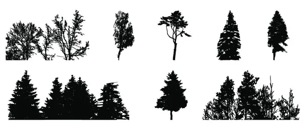 Uppsättning Träd Silhuett Isolerad Vit Bakgrund Vecrtorillustrationen Eps10 — Stock vektor