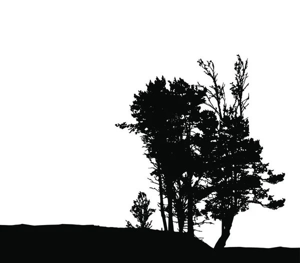 Silhouette Arbre Isolée Sur Fond Blanc Illustration Vectorielle Pse10 — Image vectorielle