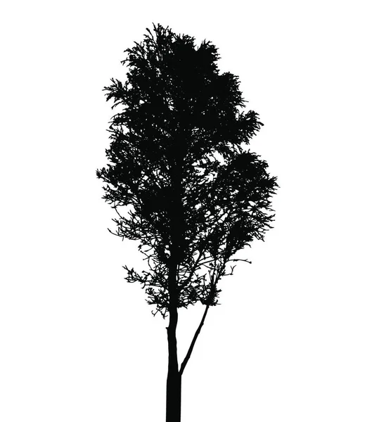 Silhouette Arbre Isolée Sur Fond Blanc Illustration Vectorielle Pse10 — Image vectorielle