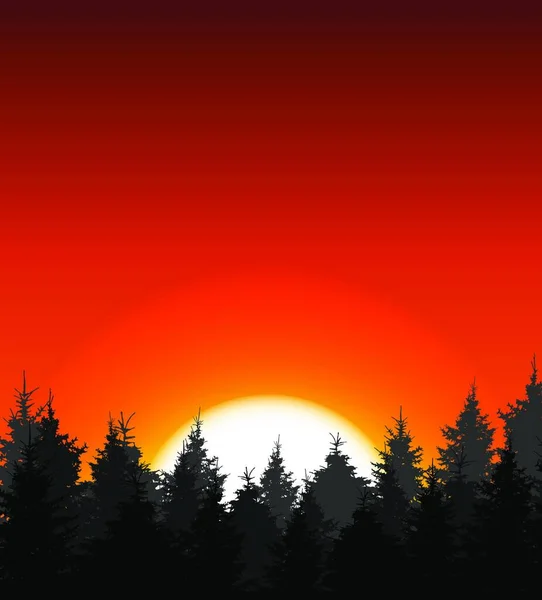 Sunset Arkaplanda Ağaç Silueti Vektör Illustration Eps10 — Stok Vektör
