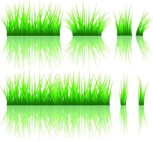 Reflected Vector Grass Pattern Vector Illustration — Stock Vector