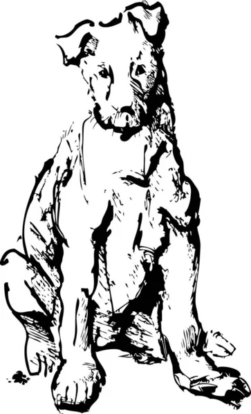 Tuschskizze Von Hund Junger Terrier Schwarz Weiß Bild — Stockvektor