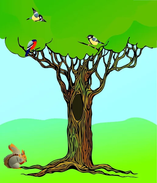 Bannière Avec Chêne Raciné Conte Fées Écureuil Oiseaux — Image vectorielle