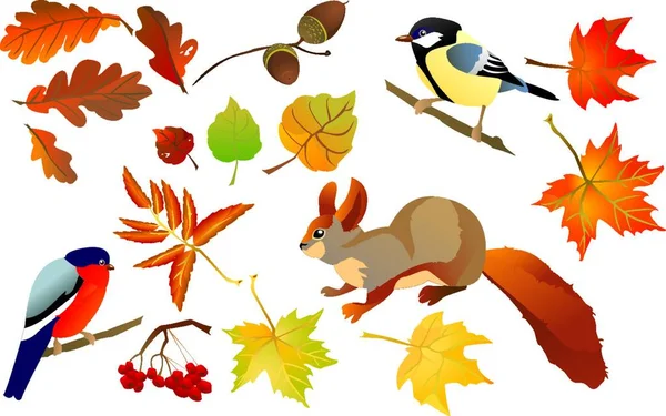 Set Isolated Autumn Forest Leafs Little Birds Animals Squirrel Bullfinch — Stock Vector