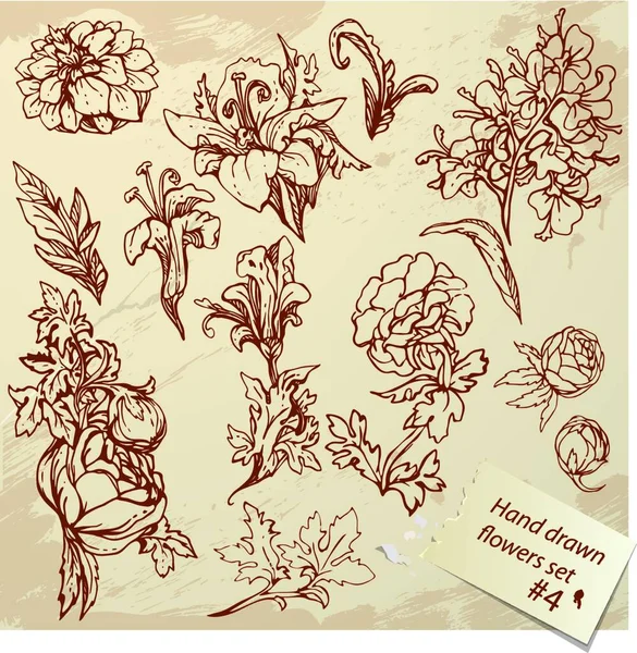 Set Vintage Realistic Graphic Flowers Hand Drawn Images — Stock Vector