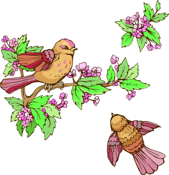 Набор Красочных Птиц Цветущие Летние Цветы Изолированные Белом Фоне — стоковый вектор