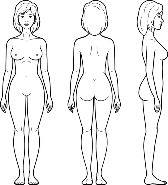 Ilustración Vectorial Figura Femenina Vista Frontal Trasera Lateral Contorno — Archivo Imágenes Vectoriales