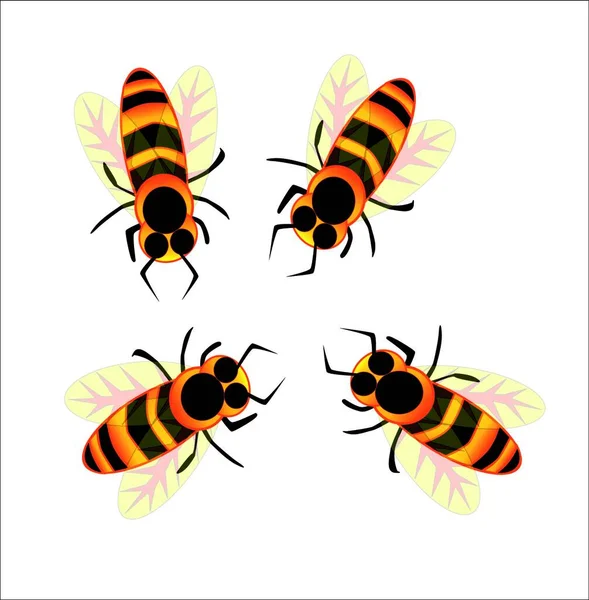 Collection Bees Isolated White — Stock Vector