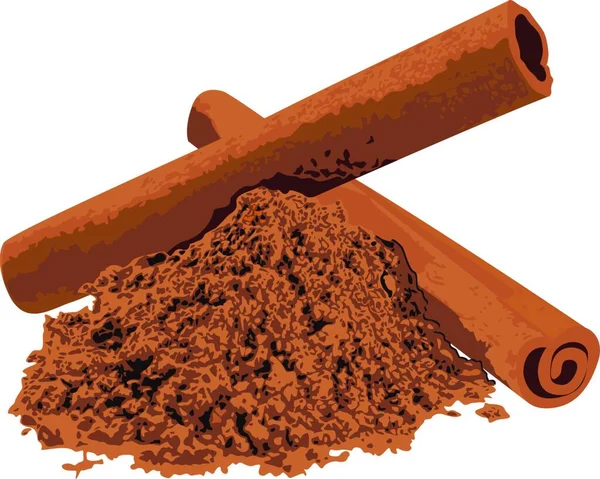 Two Cinnamon Sticks Powder Spice Vector Illustration White Background — Stock Vector