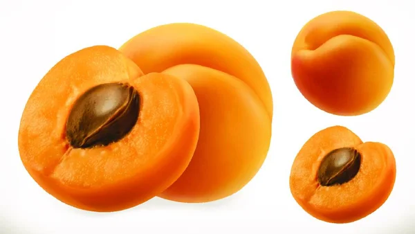 Abricot Fruit Frais Icône Vectorielle Réaliste — Image vectorielle