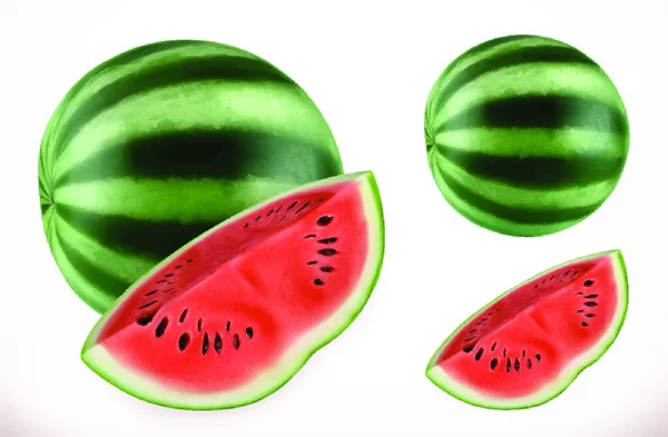 Watermeloen Vers Fruit Realistische Vector Pictogram — Stockvector