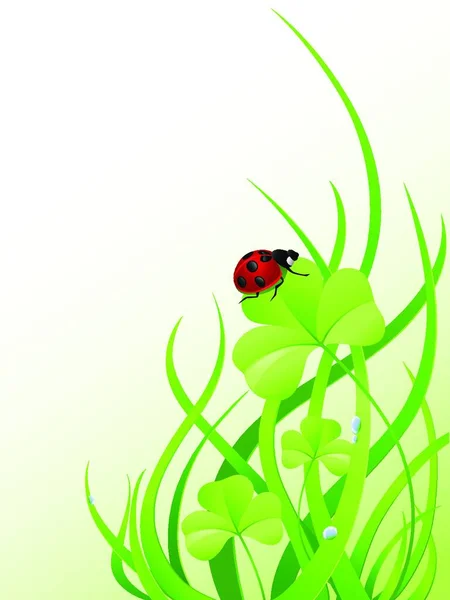 三叶草和瓢虫的背景 — 图库矢量图片