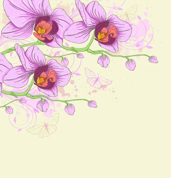 Dekorativní Vektorové Pozadí Růžovými Orchidejemi Motýly — Stockový vektor