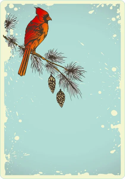 带有松枝和红雀的老式圣诞背景 — 图库矢量图片