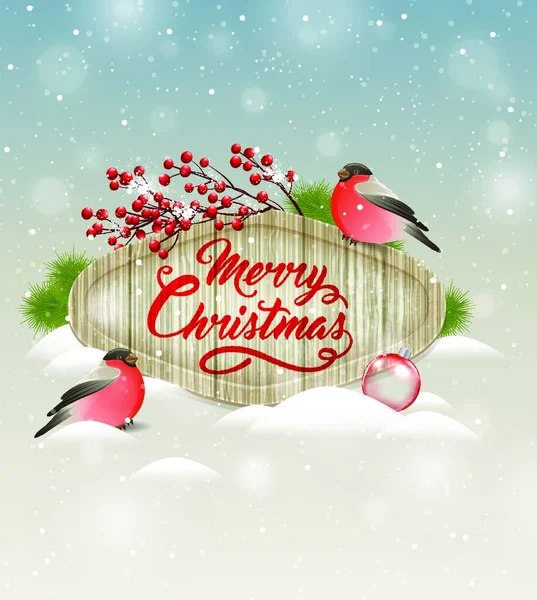 Tło Wektora Bożego Narodzenia Czerwonymi Jagodami Ptakami Wesołych Świąt Projekt — Wektor stockowy
