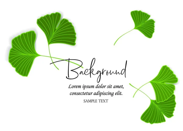 Εικονογράφηση Διάνυσμα Φύλλα Ginkgo Biloba Φόντο Φύσης Φύλλα — Διανυσματικό Αρχείο