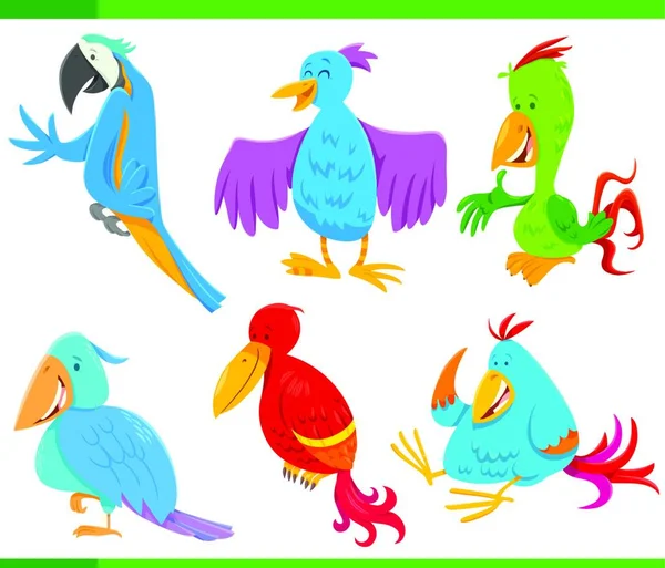 Kreskówka Ilustracja Śmieszne Kolorowe Ptaki Zwierzę Znaków Zestaw — Wektor stockowy