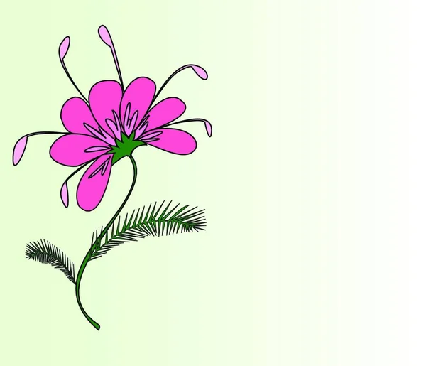 Bella Figura Una Flor Labrada Vector — Archivo Imágenes Vectoriales