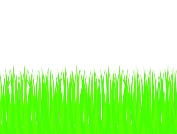 Green Grass Seamless Pattern — Stock Vector