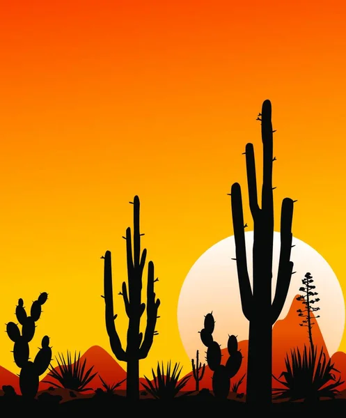 Auringonlasku Meksikon Autiomaassa Siluetit Kiviä Kaktuksia Kasveja Aavikkomaisema Kaktusten Kera — vektorikuva