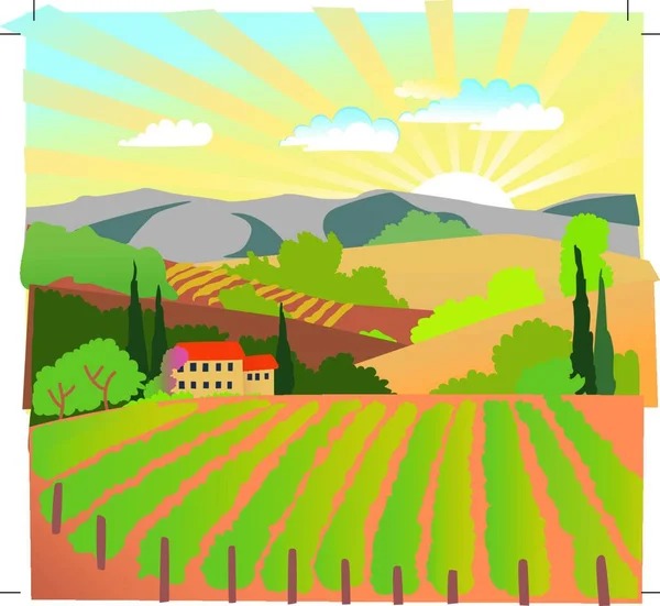 Paisaje Rural Solar Verano Con Puesta Sol Viñedo Montañas — Vector de stock