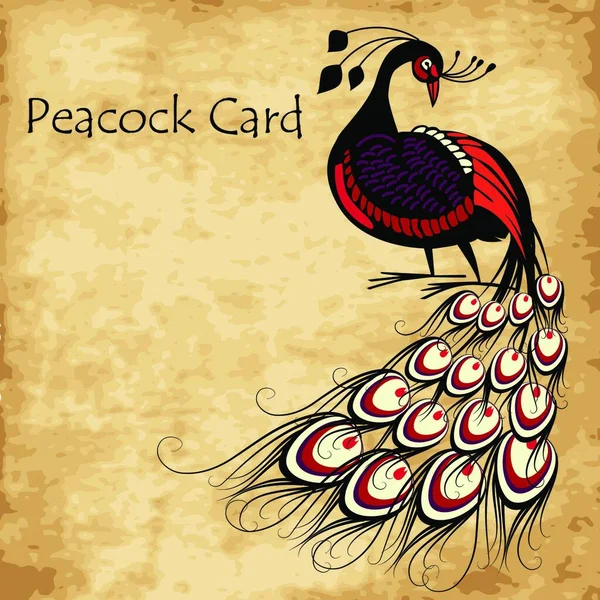 Tarjeta Peacock Ilustración Vectorial — Vector de stock