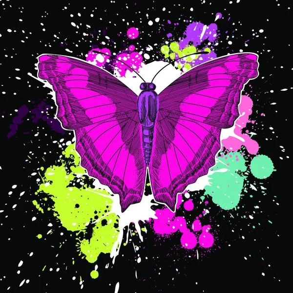 Schöner Schmetterling Auf Dem Schwarzen Hintergrund — Stockvektor