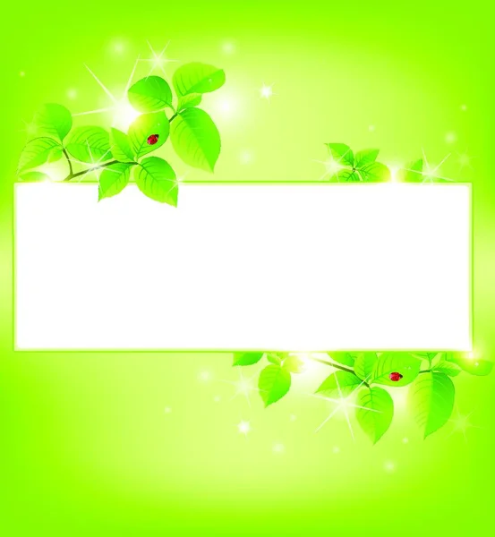 Lujo Brillante Bandera Vector Verde Con Hojas — Vector de stock