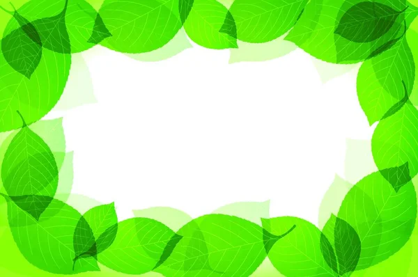 葉からの緑のフレーム — ストックベクタ