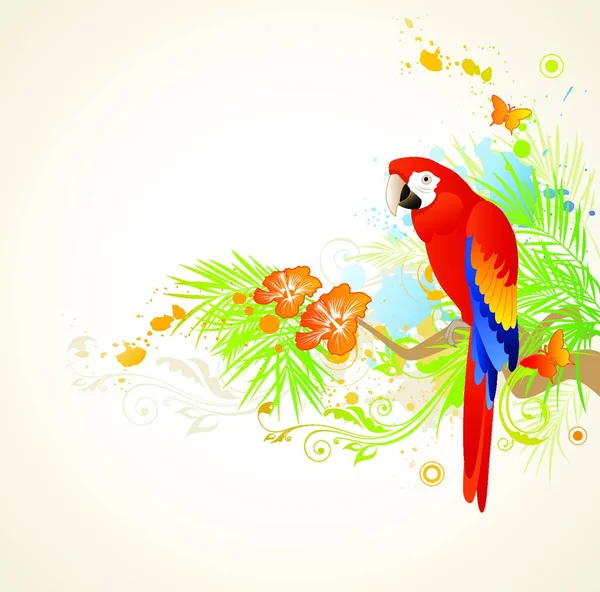 有装饰品和鹦鹉的夏季背景 — 图库矢量图片