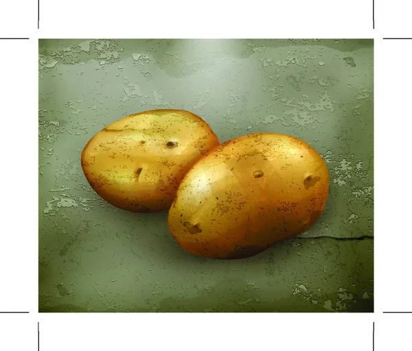 Kartoffeln Vektor Alten Stils — Stockvektor