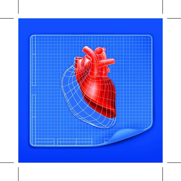 Blueprint Struktura Srdce Vektor — Stockový vektor