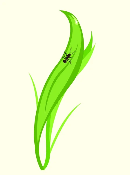 Funky Karınca Yeşil Yaprak Üzerinde Oturan Vektör Çizim — Stok Vektör