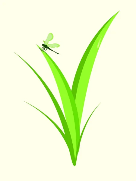 Vektor Illustration Der Funky Libelle Sitzt Auf Dem Grünen Blatt — Stockvektor