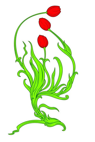 Векторная Иллюстрация Красивого Одноствольного Тюльпана — стоковый вектор