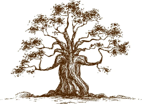 Δέντρο Λευκό Φόντο Εικονογράφηση Φορέας — Διανυσματικό Αρχείο
