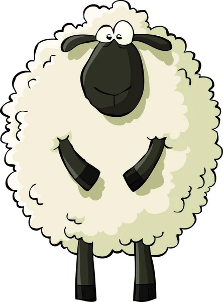 Πρόβατα Λευκό Φόντο Διανυσματική Απεικόνιση — Διανυσματικό Αρχείο